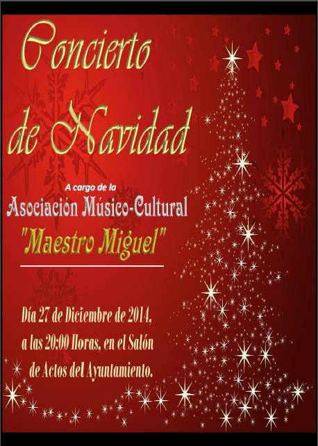 concierto navidad 2014