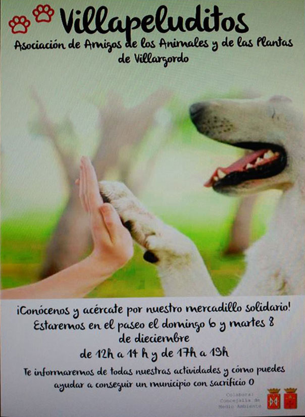Mercadillo solidario a cargo de la Asociación Villapeluditos