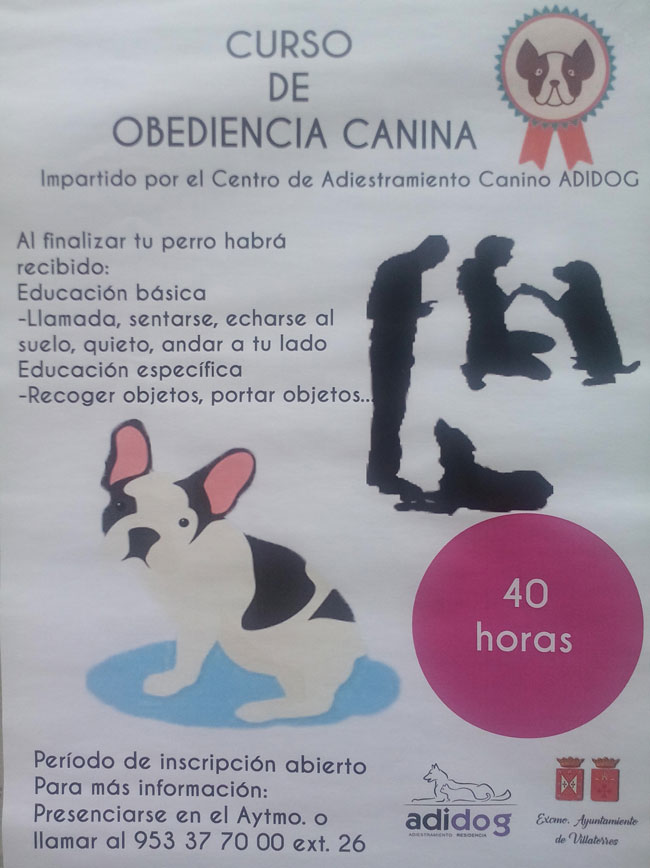 Curso de Obediencia Canina