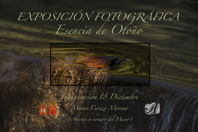 Exposición Fotográfica Esencia de Otoño
