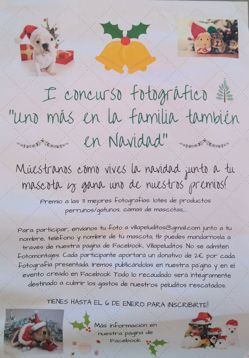 I Concurso Fotográfico: Uno más en la familia también en Navidad