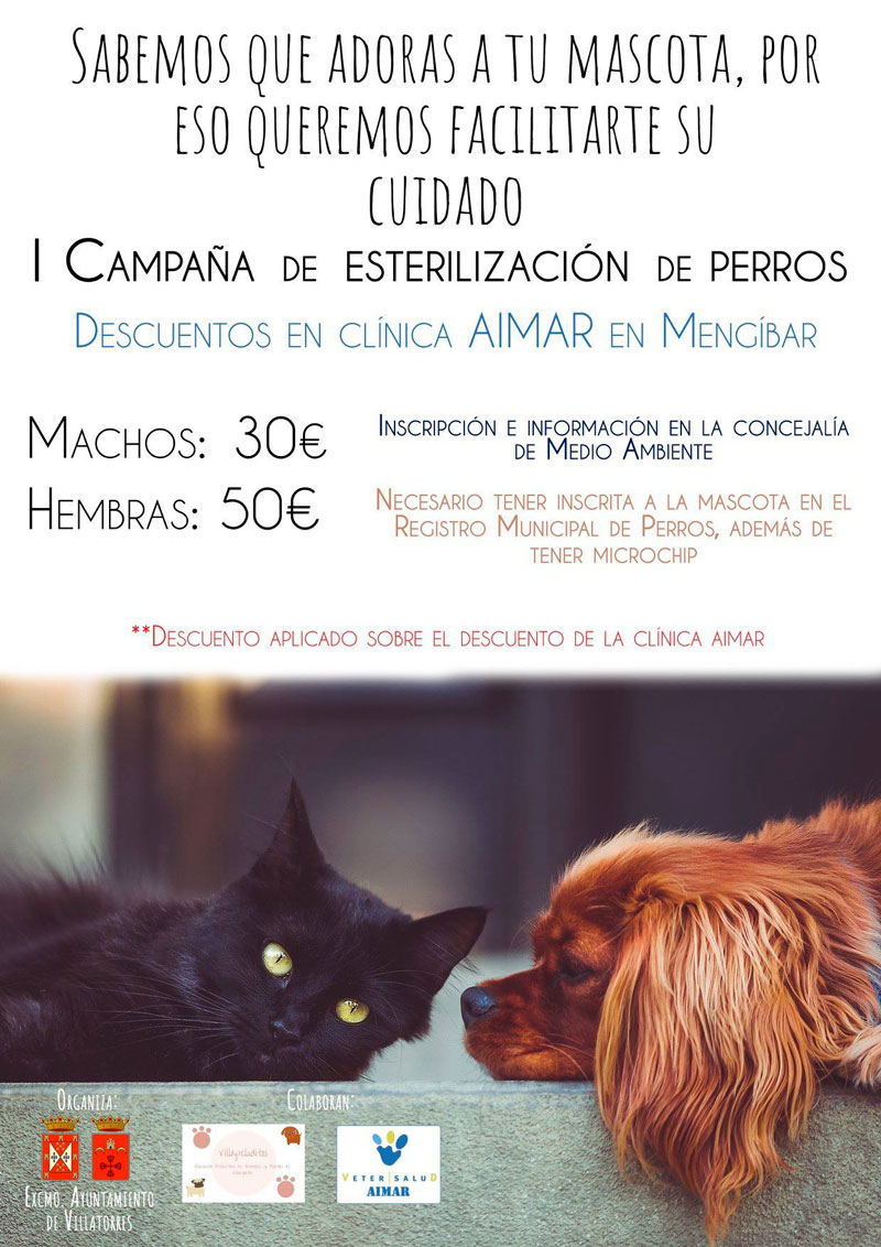 I Campaña de esterilización de perros