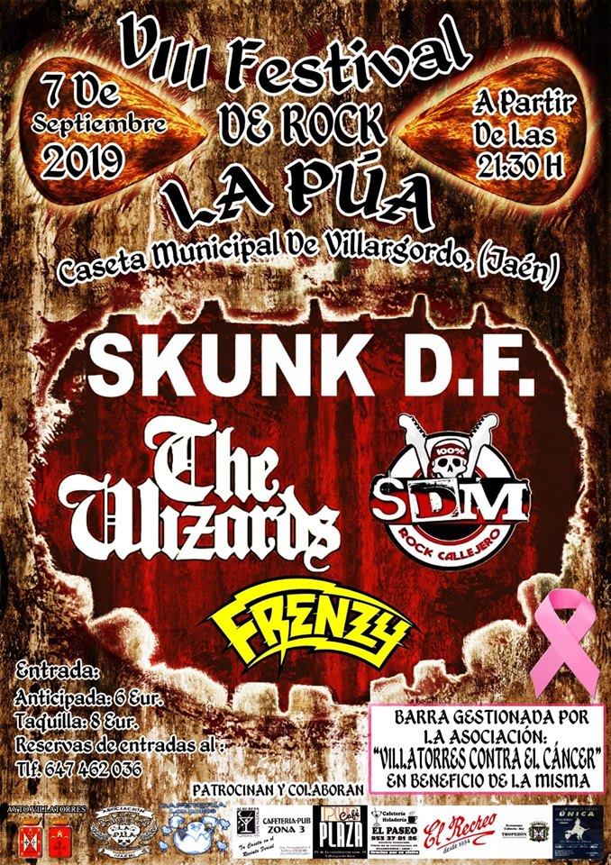 VIII Festival de Rock La Púa