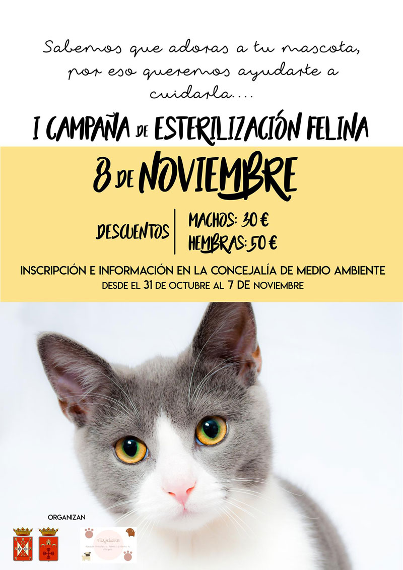 I Campaña de esterilización felina