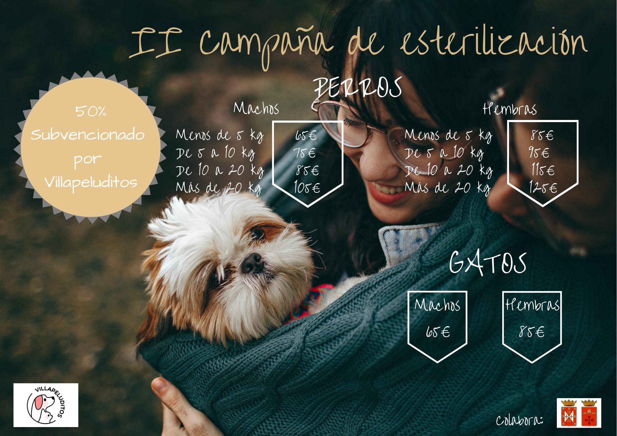 II Campaña de esterilización de animales