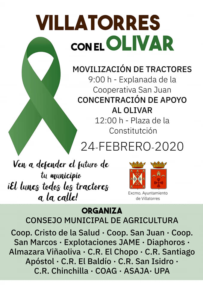 Villatorres con el olivar