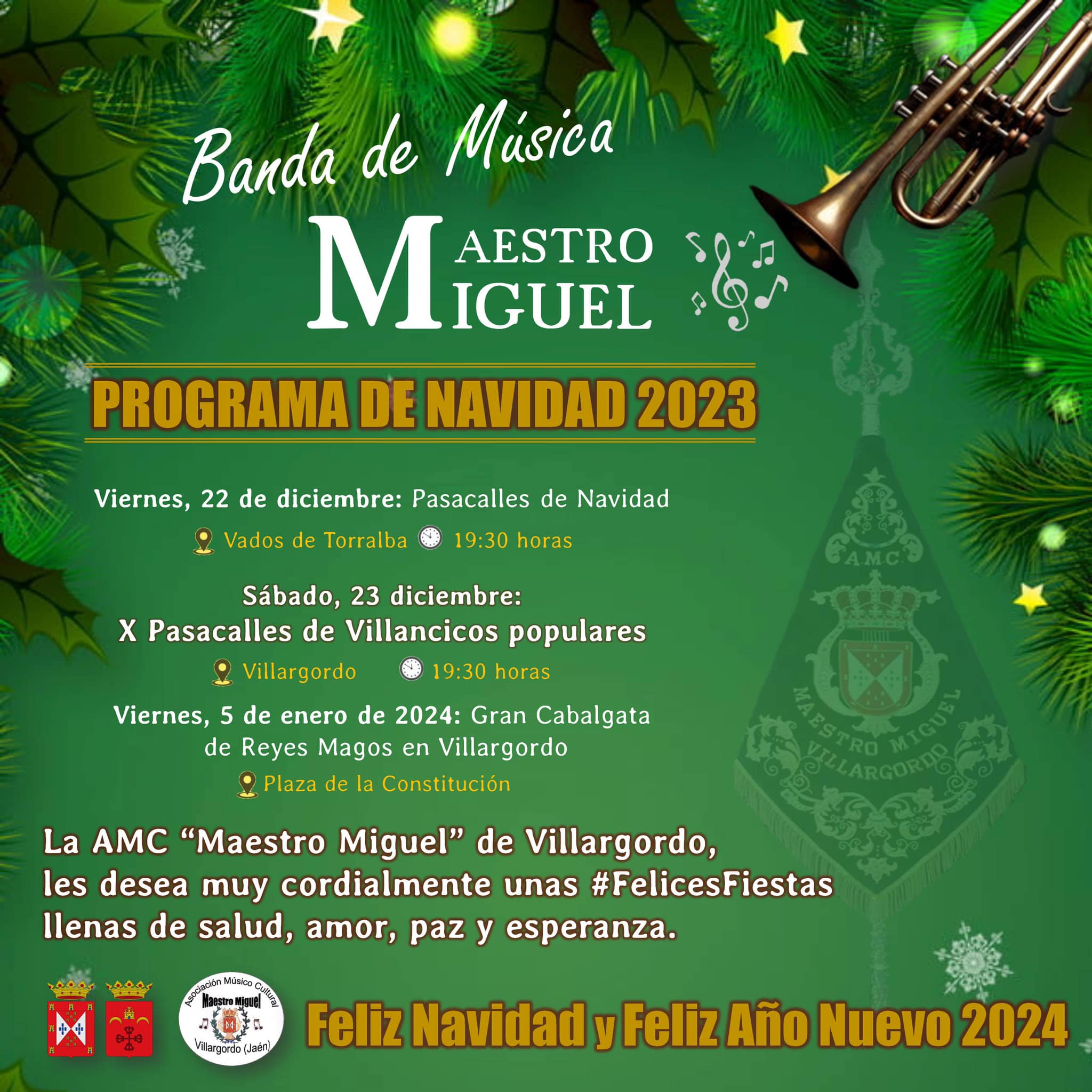 Programa de Navidad A.M.C. Maestro Miguel