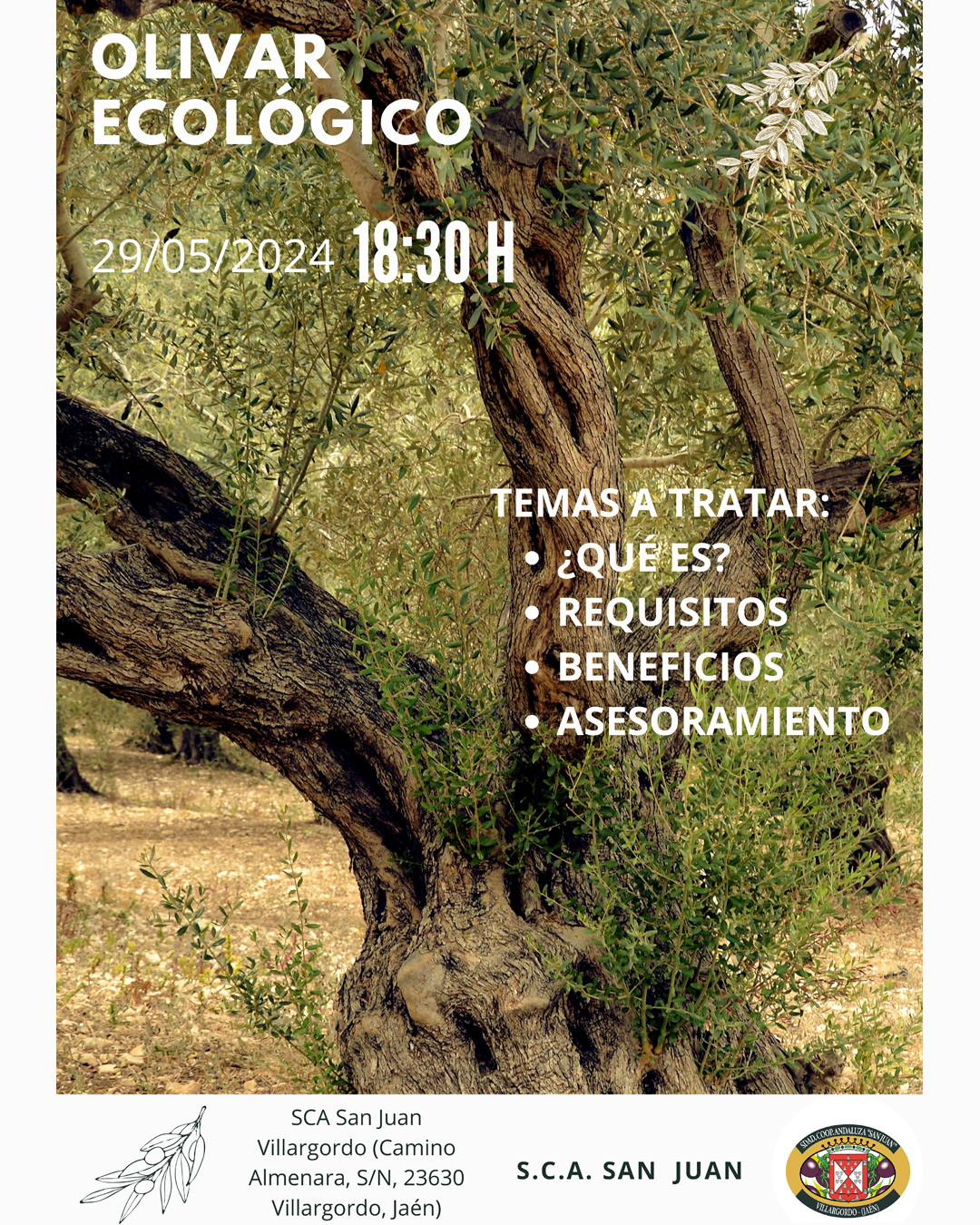 Charla sobre el olivar ecológico